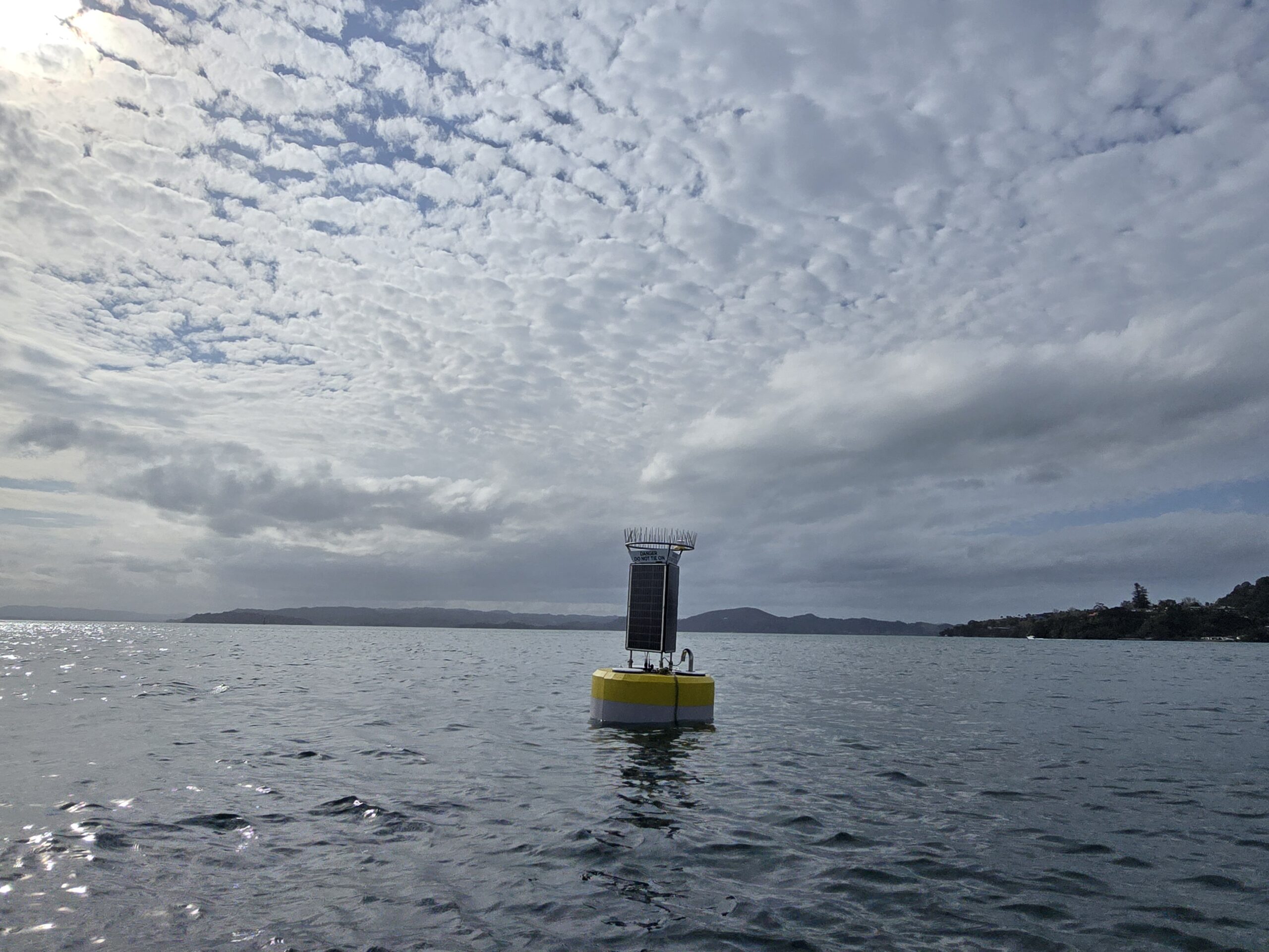 New Zealand, propagation loss of signals in shallow waters, presence of marine mammals around harbours, seismic surveys.