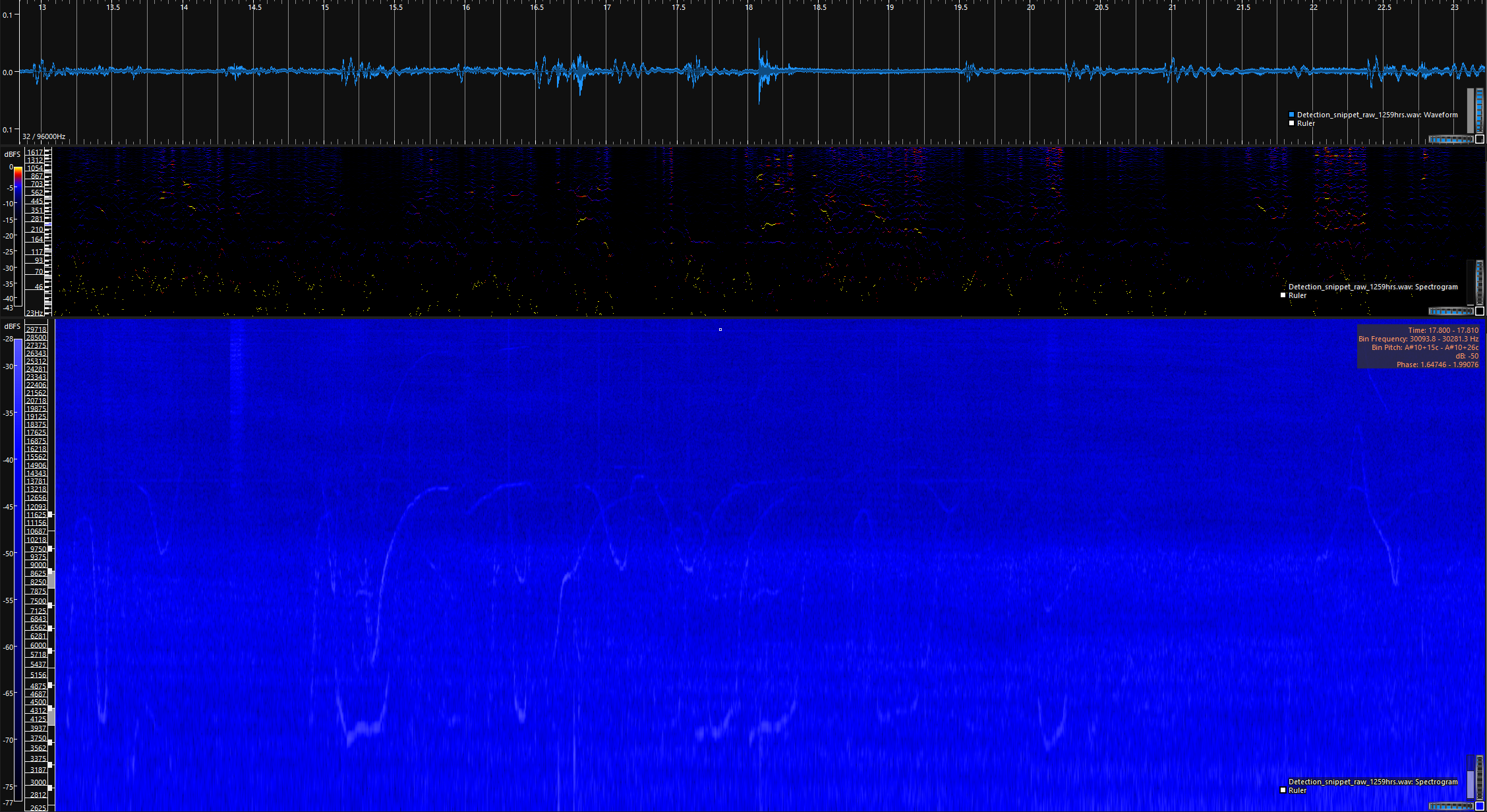 New Zealand, propagation loss of signals in shallow waters, presence of marine mammals around harbours, seismic surveys.